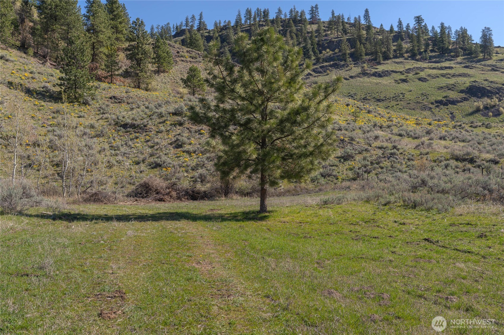 1 Whiskey Mountain Ranches Tonasket WA 98855