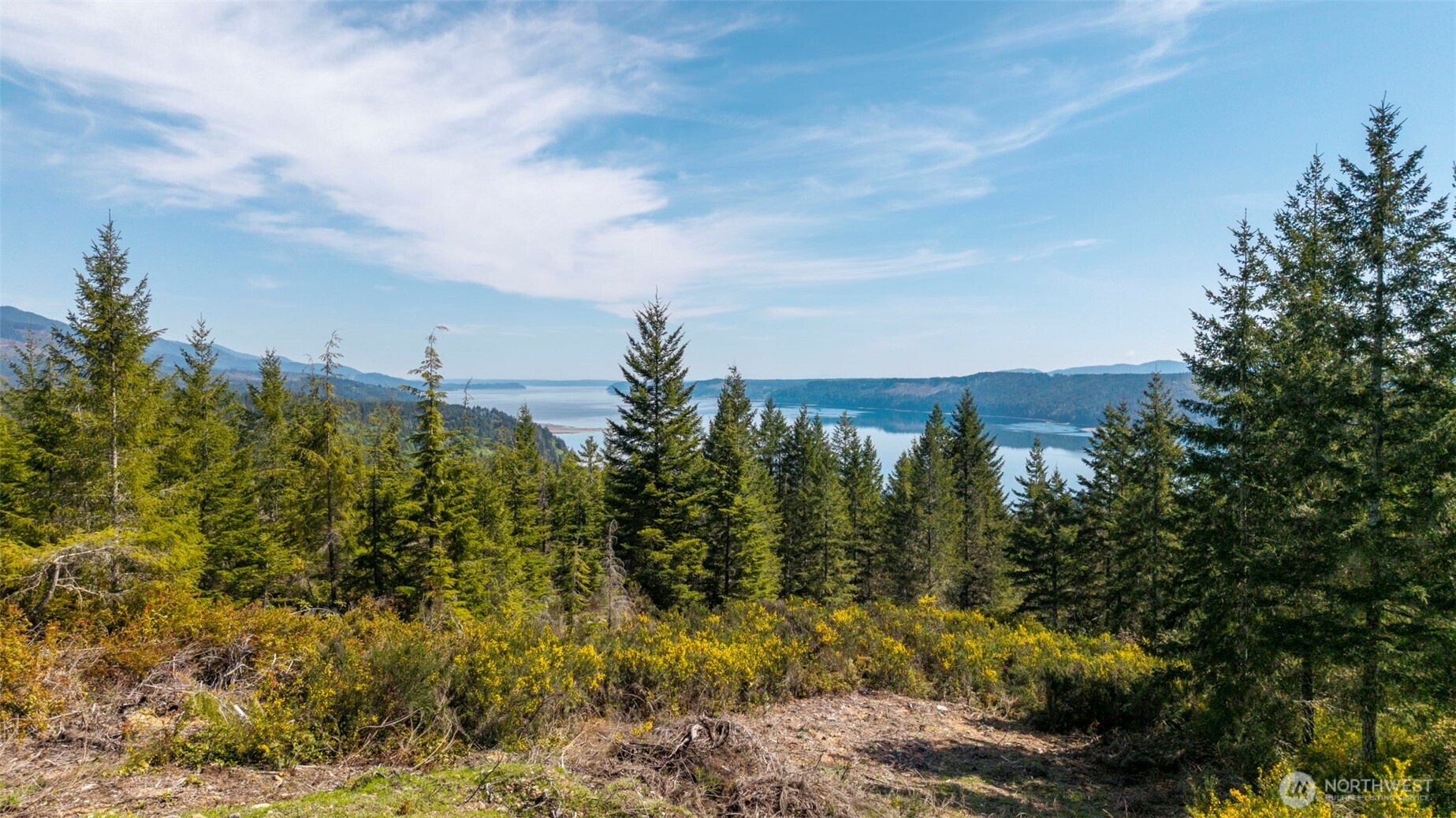 778899 N Hamma Ridge Drive Lilliwaup WA 98555