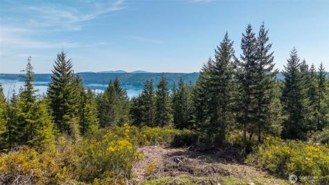778899 N Hamma Ridge Drive Lilliwaup WA 98555