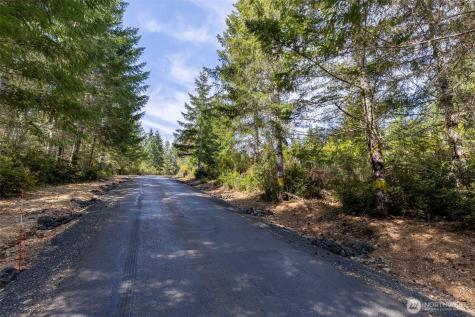 778899 N Hamma Ridge Drive Lilliwaup WA 98555