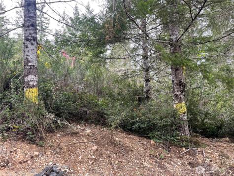 778899 N Hamma Ridge Drive Lilliwaup WA 98555