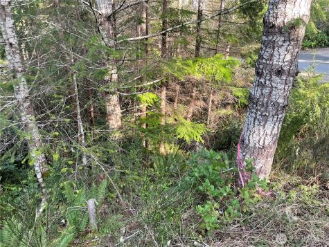 778899 N Hamma Ridge Drive Lilliwaup WA 98555