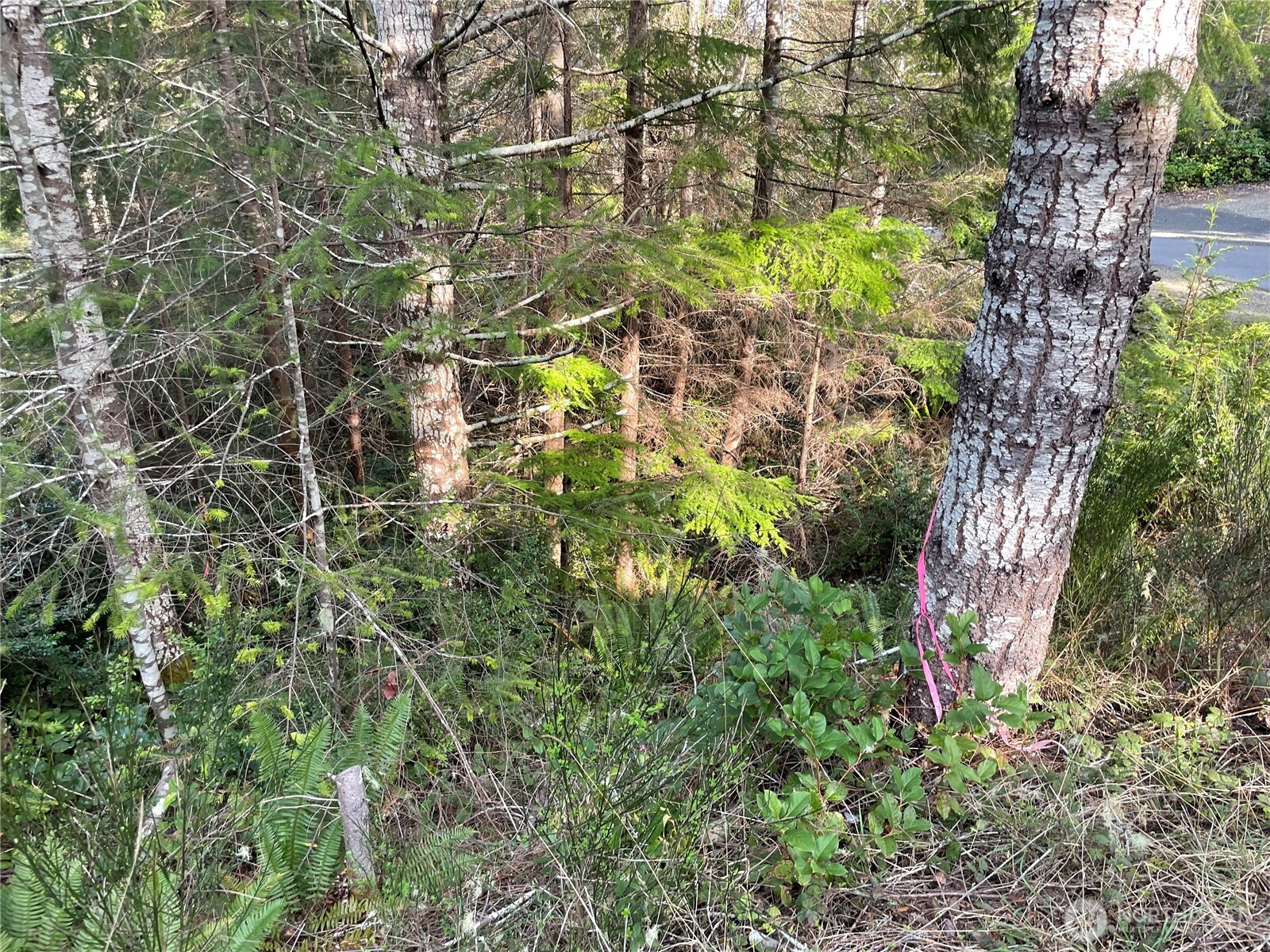 778899 N Hamma Ridge Drive Lilliwaup WA 98555