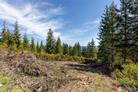 778899 N Hamma Ridge Drive Lilliwaup WA 98555