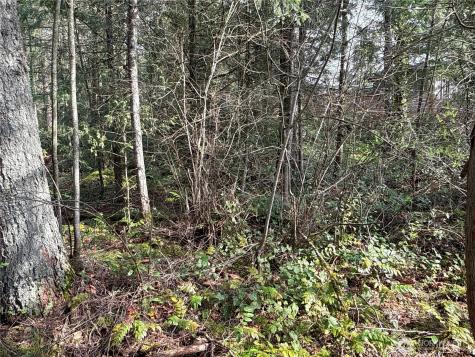 149 175th Avenue SE Renton WA 98059