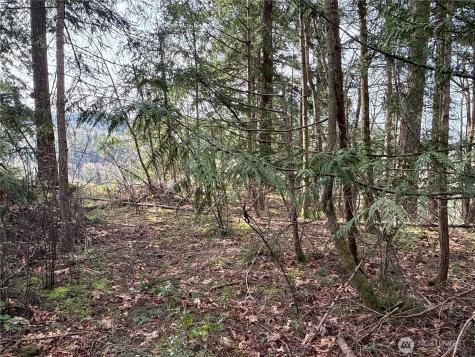 149 175th Avenue SE Renton WA 98059