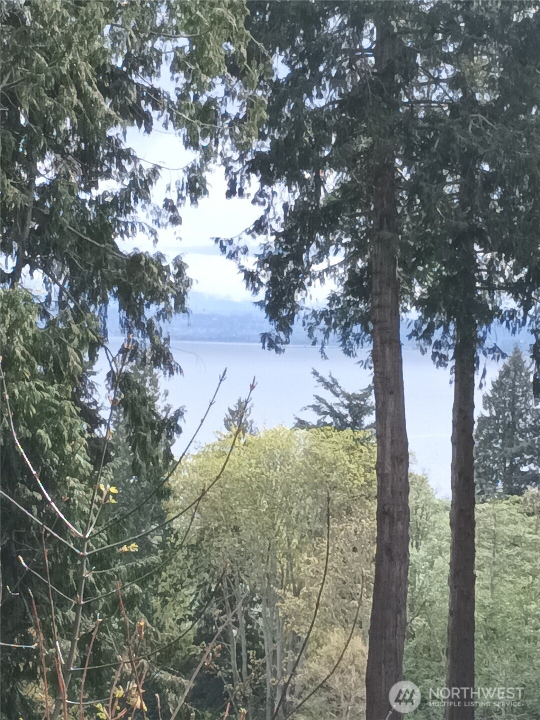 16 Olympic Drive Hat Island WA 98206