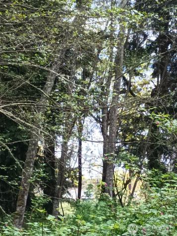 16 Olympic Drive Hat Island WA 98206