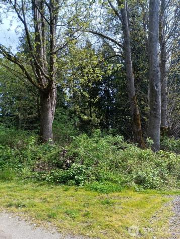 16 Olympic Drive Hat Island WA 98206