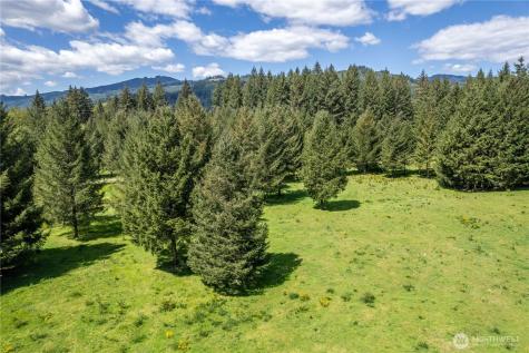 211 Sugarpine Road Ariel WA 98603