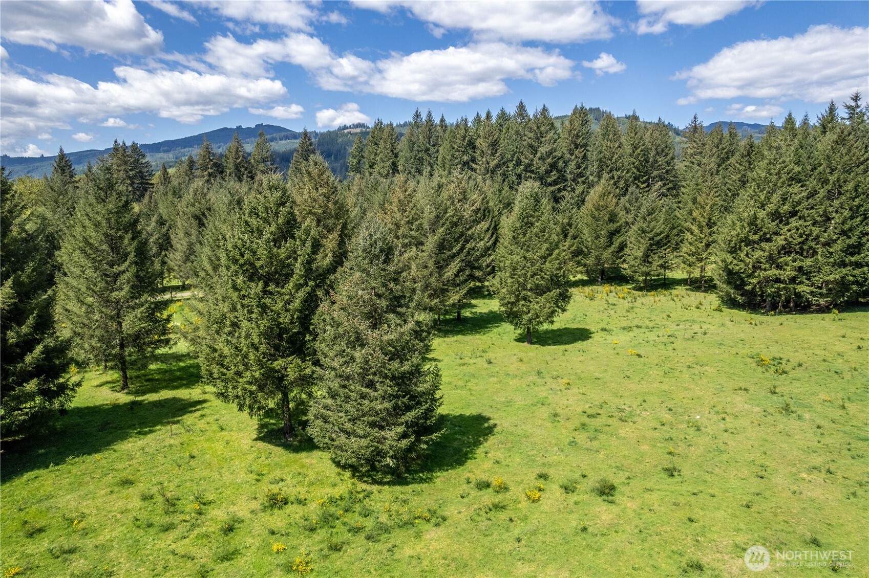 211 Sugarpine Road Ariel WA 98603
