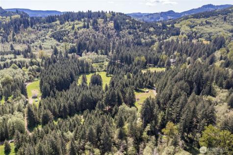 211 Sugarpine Road Ariel WA 98603