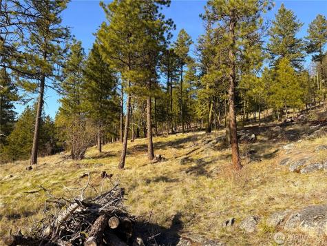 34 Morgan Mountain Trail Tonasket WA 98855