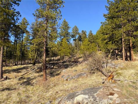 34 Morgan Mountain Trail Tonasket WA 98855