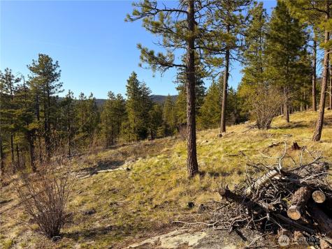 34 Morgan Mountain Trail Tonasket WA 98855