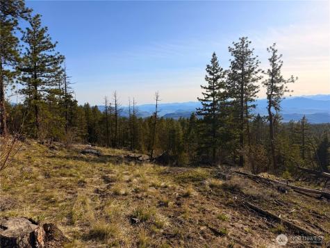 34 Morgan Mountain Trail Tonasket WA 98855