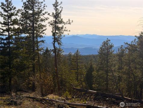 34 Morgan Mountain Trail Tonasket WA 98855