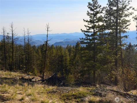 34 Morgan Mountain Trail Tonasket WA 98855