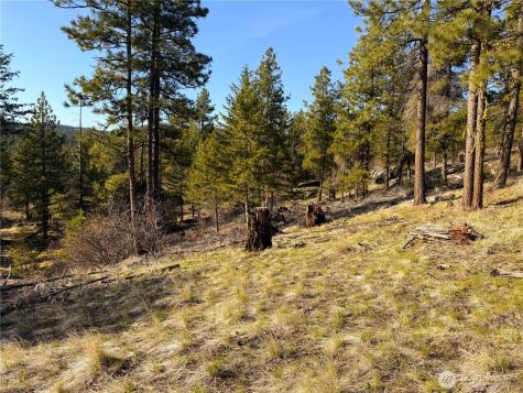 34 Morgan Mountain Trail Tonasket WA 98855