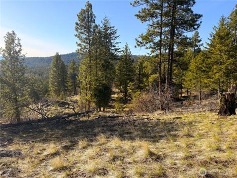 34 Morgan Mountain Trail Tonasket WA 98855