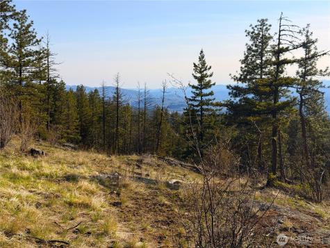 34 Morgan Mountain Trail Tonasket WA 98855