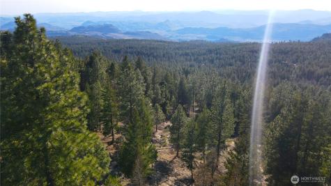 34 Morgan Mountain Trail Tonasket WA 98855