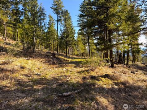 34 Morgan Mountain Trail Tonasket WA 98855