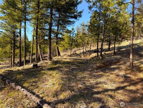 34 Morgan Mountain Trail Tonasket WA 98855