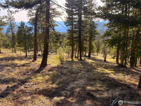34 Morgan Mountain Trail Tonasket WA 98855