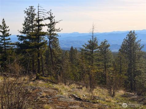 34 Morgan Mountain Trail Tonasket WA 98855
