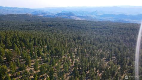34 Morgan Mountain Trail Tonasket WA 98855