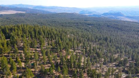 34 Morgan Mountain Trail Tonasket WA 98855
