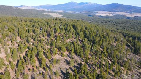34 Morgan Mountain Trail Tonasket WA 98855