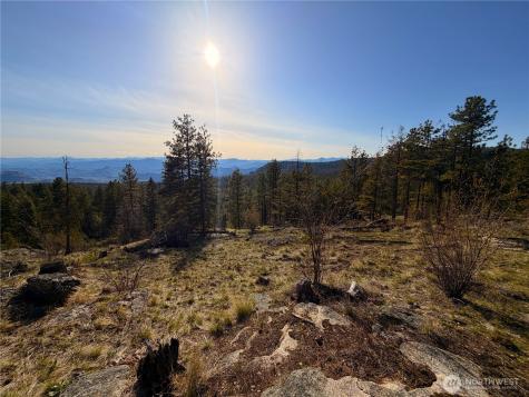 34 Morgan Mountain Trail Tonasket WA 98855