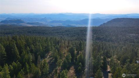 34 Morgan Mountain Trail Tonasket WA 98855