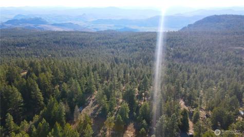 34 Morgan Mountain Trail Tonasket WA 98855