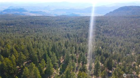 34 Morgan Mountain Trail Tonasket WA 98855