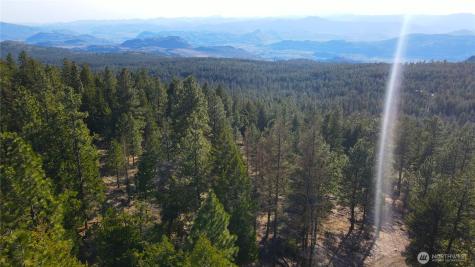 34 Morgan Mountain Trail Tonasket WA 98855