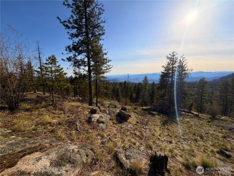 34 Morgan Mountain Trail Tonasket WA 98855
