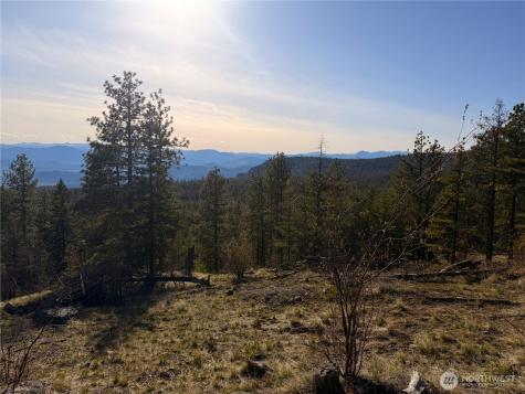 34 Morgan Mountain Trail Tonasket WA 98855