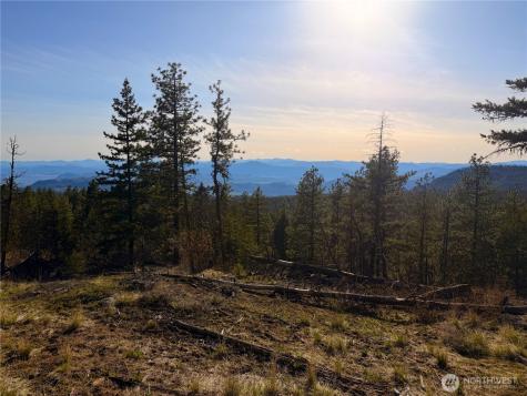 34 Morgan Mountain Trail Tonasket WA 98855
