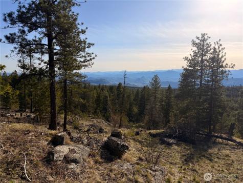34 Morgan Mountain Trail Tonasket WA 98855