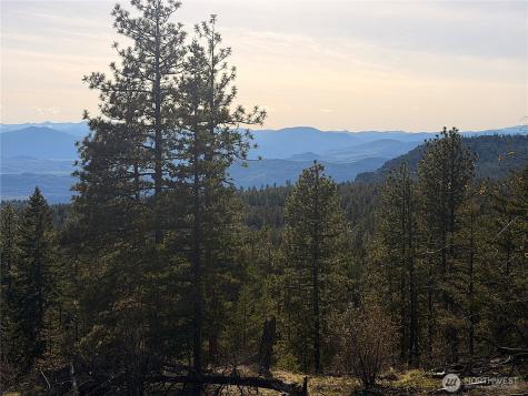 34 Morgan Mountain Trail Tonasket WA 98855
