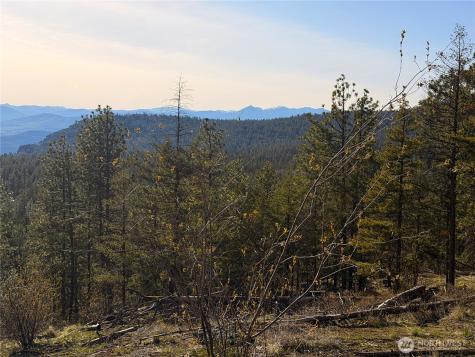 34 Morgan Mountain Trail Tonasket WA 98855