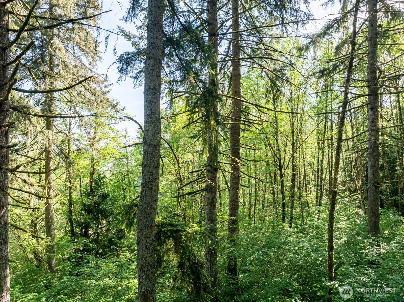144 Penrose Lane Chehalis WA 98532