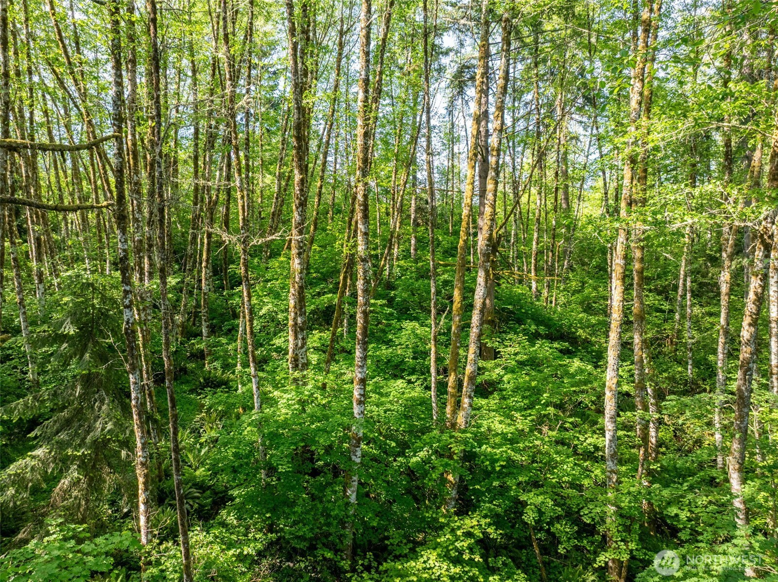 144 Penrose Lane Chehalis WA 98532