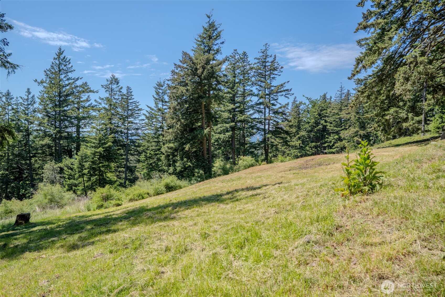 521 Vusario Lane Orcas Island WA 98245