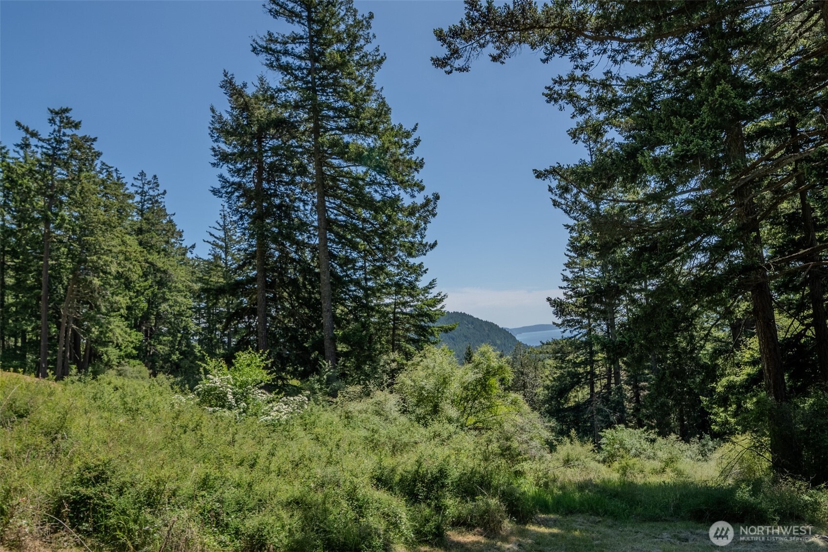 521 Vusario Lane Orcas Island WA 98245
