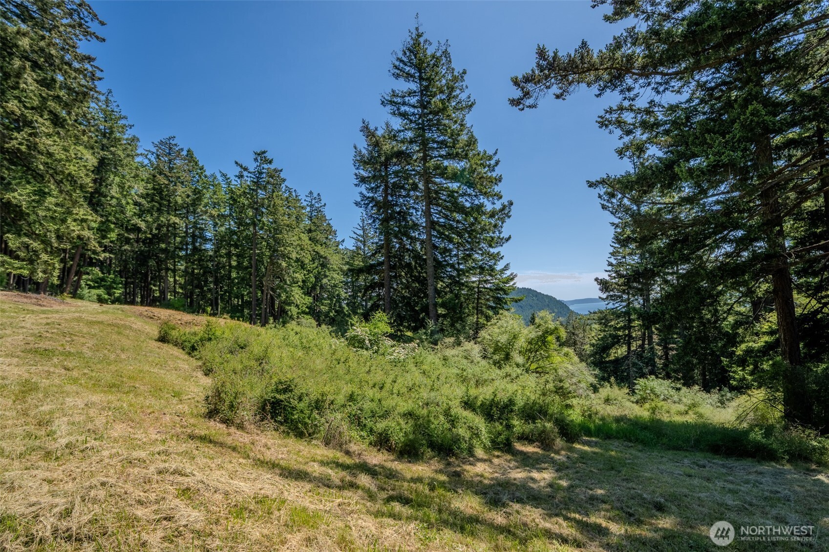 521 Vusario Lane Orcas Island WA 98245