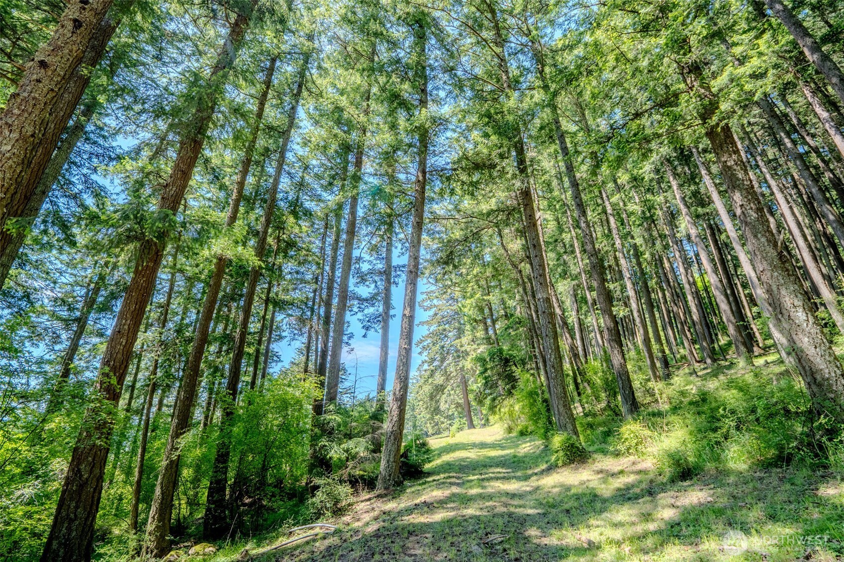 521 Vusario Lane Orcas Island WA 98245